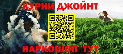 МДПВ Бердск