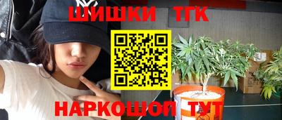 МДПВ Бердск