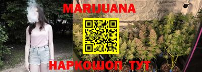 МДПВ Бердск