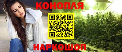 МДПВ Бердск