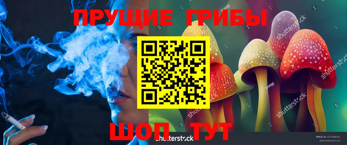 Нарьян-Мар  Псилоцибиновые грибы Magic Shrooms  Вход с VPN 