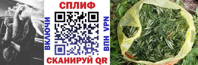 Конопля сатива  продажа наркотиков  Нарьян-Мар 